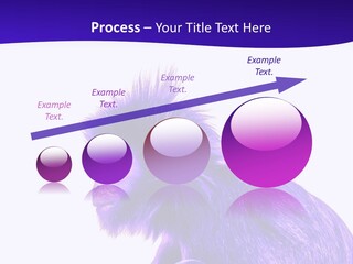 Isolated Eat Wildlife PowerPoint Template
