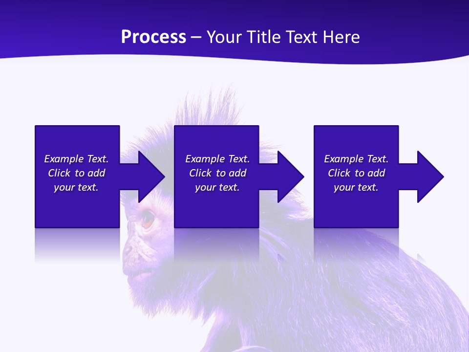Isolated Eat Wildlife PowerPoint Template