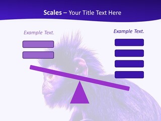 Isolated Eat Wildlife PowerPoint Template