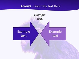 Isolated Eat Wildlife PowerPoint Template