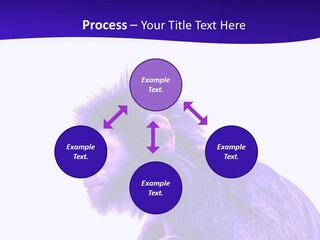 Isolated Eat Wildlife PowerPoint Template