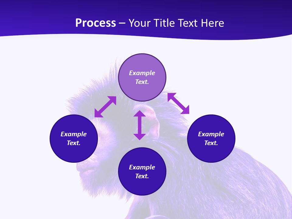 Isolated Eat Wildlife PowerPoint Template