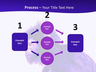 Isolated Eat Wildlife PowerPoint Template