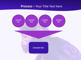 Isolated Eat Wildlife PowerPoint Template