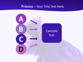 Isolated Eat Wildlife PowerPoint Template