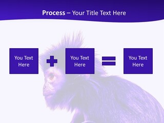 Isolated Eat Wildlife PowerPoint Template