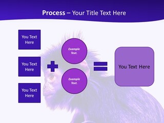 Isolated Eat Wildlife PowerPoint Template
