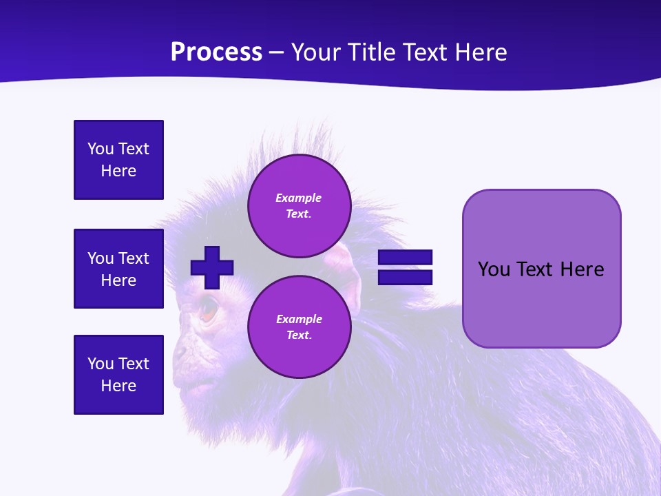 Isolated Eat Wildlife PowerPoint Template