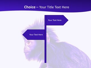Isolated Eat Wildlife PowerPoint Template