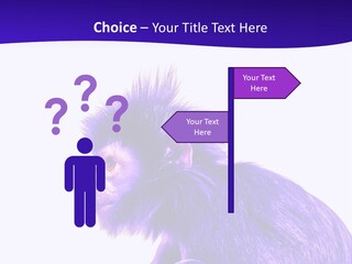 Isolated Eat Wildlife PowerPoint Template