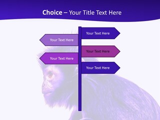 Isolated Eat Wildlife PowerPoint Template