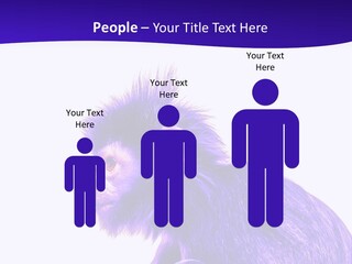 Isolated Eat Wildlife PowerPoint Template