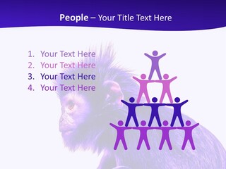 Isolated Eat Wildlife PowerPoint Template