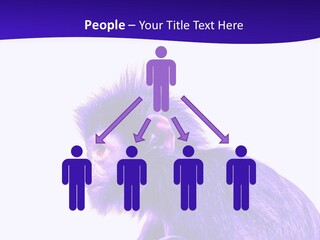 Isolated Eat Wildlife PowerPoint Template