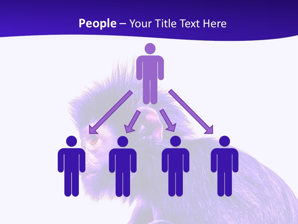 Isolated Eat Wildlife PowerPoint Template