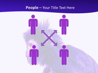 Isolated Eat Wildlife PowerPoint Template