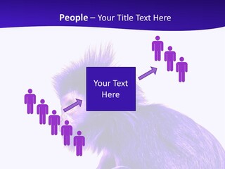 Isolated Eat Wildlife PowerPoint Template