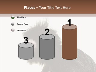 Forest Strong Orange PowerPoint Template