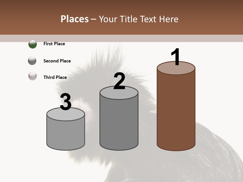 Forest Strong Orange PowerPoint Template