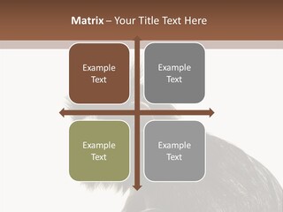 Forest Strong Orange PowerPoint Template