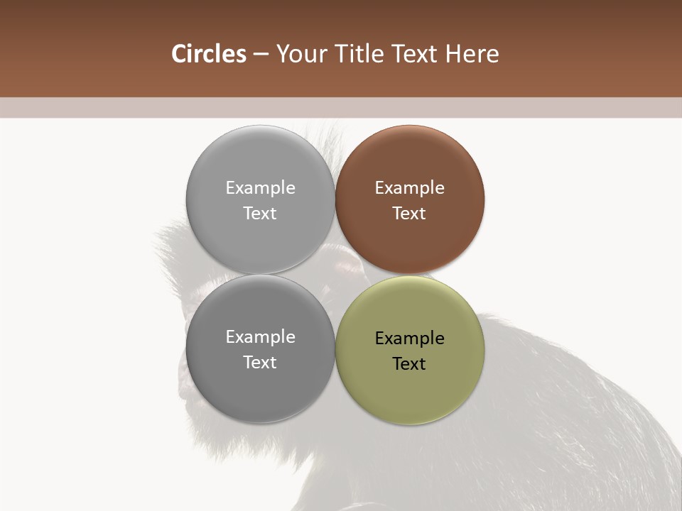 Forest Strong Orange PowerPoint Template