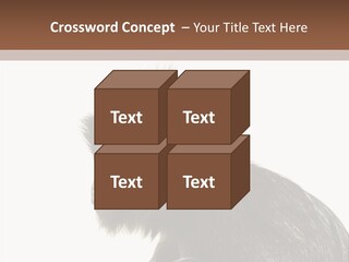 Forest Strong Orange PowerPoint Template