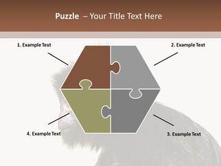 Forest Strong Orange PowerPoint Template