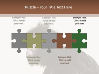 Forest Strong Orange PowerPoint Template