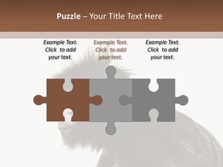 Forest Strong Orange PowerPoint Template