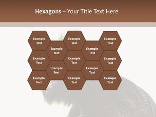 Forest Strong Orange PowerPoint Template