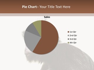 Forest Strong Orange PowerPoint Template