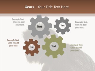 Forest Strong Orange PowerPoint Template