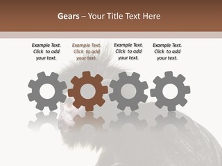 Forest Strong Orange PowerPoint Template