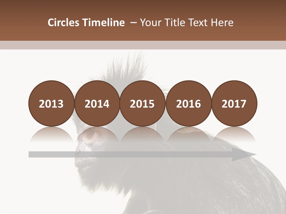 Forest Strong Orange PowerPoint Template