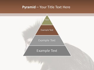 Forest Strong Orange PowerPoint Template