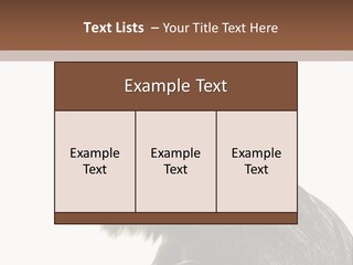 Forest Strong Orange PowerPoint Template