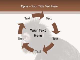 Forest Strong Orange PowerPoint Template