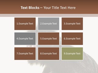 Forest Strong Orange PowerPoint Template