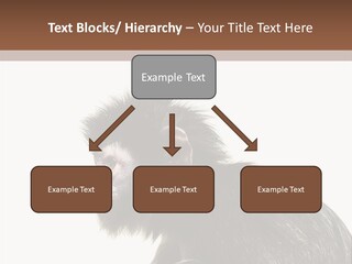 Forest Strong Orange PowerPoint Template