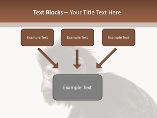 Forest Strong Orange PowerPoint Template