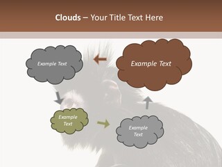 Forest Strong Orange PowerPoint Template