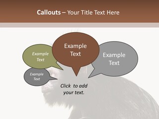 Forest Strong Orange PowerPoint Template