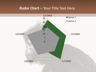 Forest Strong Orange PowerPoint Template