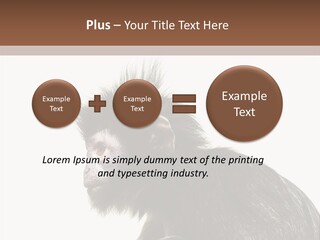 Forest Strong Orange PowerPoint Template