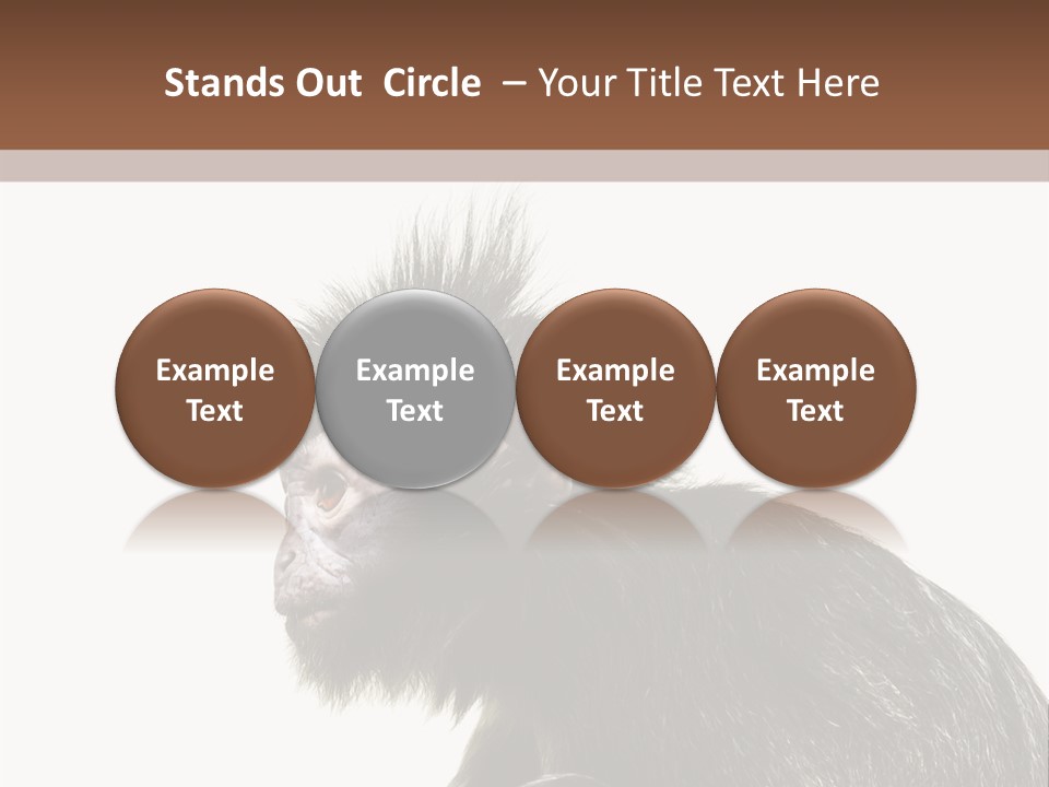 Forest Strong Orange PowerPoint Template