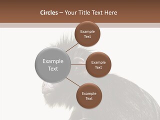 Forest Strong Orange PowerPoint Template