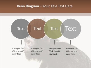 Forest Strong Orange PowerPoint Template
