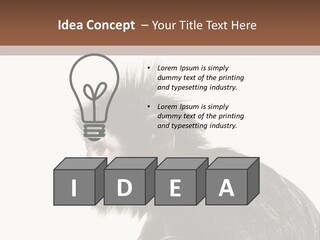 Forest Strong Orange PowerPoint Template