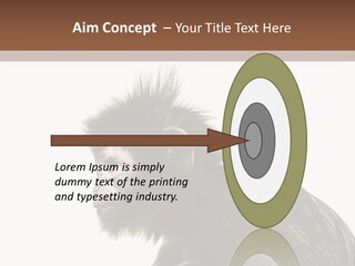 Forest Strong Orange PowerPoint Template