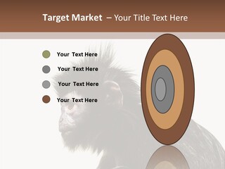 Forest Strong Orange PowerPoint Template